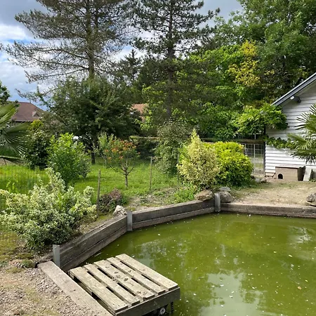 Au Paradis Des Oiseaux * Rumilly-les-Vaudes